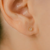 K18/Pt Rosecut Diamond