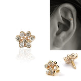 動物ボディピアス