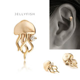 K10 Diamond Vacations