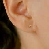 K10 トパーズ フラワー