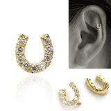 馬蹄のボディピアス