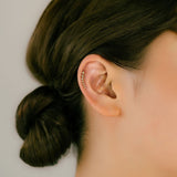 K18/Pt Diamond Curve