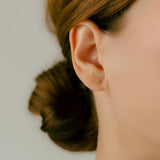 K18/Pt Diamond Number