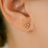 K18/Pt Diamond Trilogy