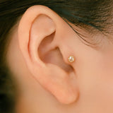K18/Pt Rosecut Diamond
