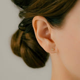 K18/Pt Rosecut Diamond