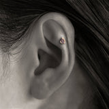 K10 ColorChangeGarnet - picollet