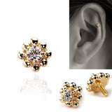 K10 Diamond - picollet