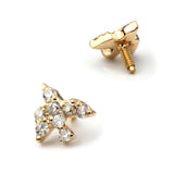 K10 Diamond Bird - picollet