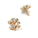 K10 Diamond paw pads - picollet