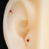 K10 Ruby&Diamond - picollet