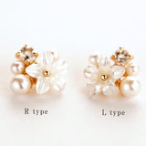 K10 Shell Flower - picollet