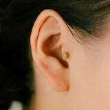 K18/Pt Lily