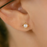 K18 Pearl