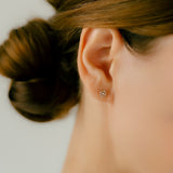 K10 Rosecut Diamond