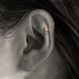 K10 Diamond Leaf