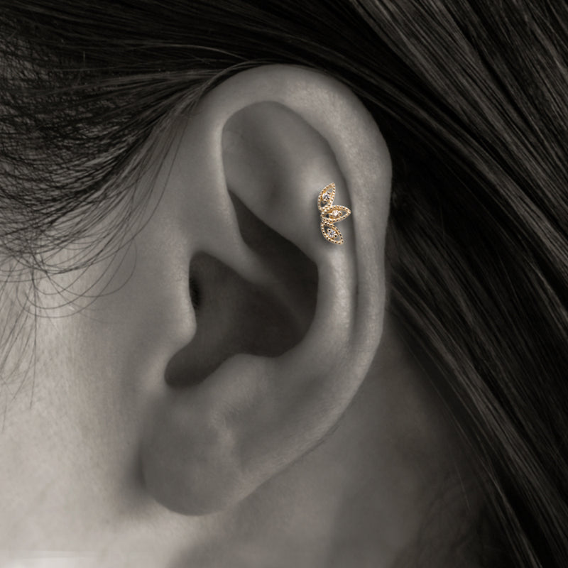 K10 Diamond Leaf