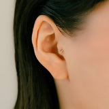 K10 Diamond Butterfly