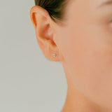 K10 Icon