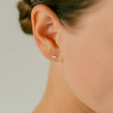K10 Icon