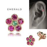 K10 Multi Flower