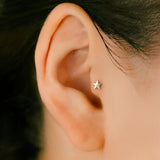 K10 Star S