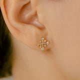 K18/Pt Diamond