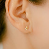 K18 Enamel