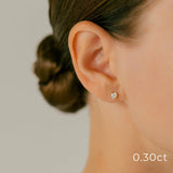 K18 Grading Diamond