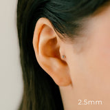 K18/Pt Ball 2.0〜4.0mm