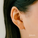 K18/Pt Ball 2.0〜4.0mm