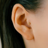 K18/Pt Birth Stone Mil