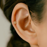 K18/Pt Rosecut Diamond