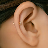 K18/Pt Rosecut Diamond