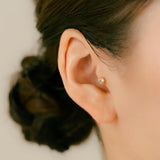 K18/Pt Rosecut Diamond