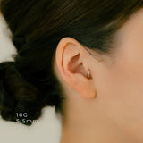 K18/Pt Segment Ring 16G/14G