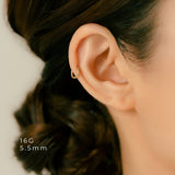 K18/Pt Segment Ring 16G/14G