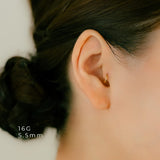 K18/Pt Segment Ring 16G/14G