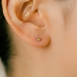 K18/Pt Sphene