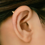 K18/Pt Spike Cone