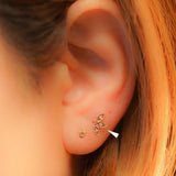 K10 Diamond - picollet