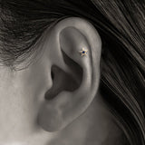 K18 Star - picollet